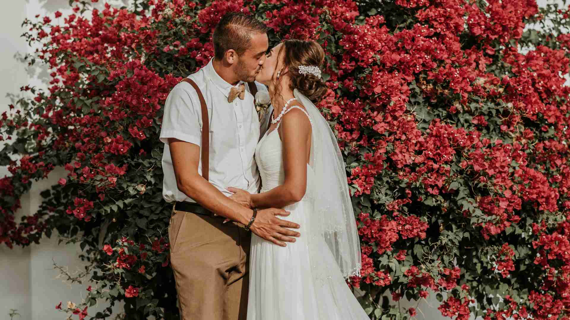  - Our Wedding Gift to You