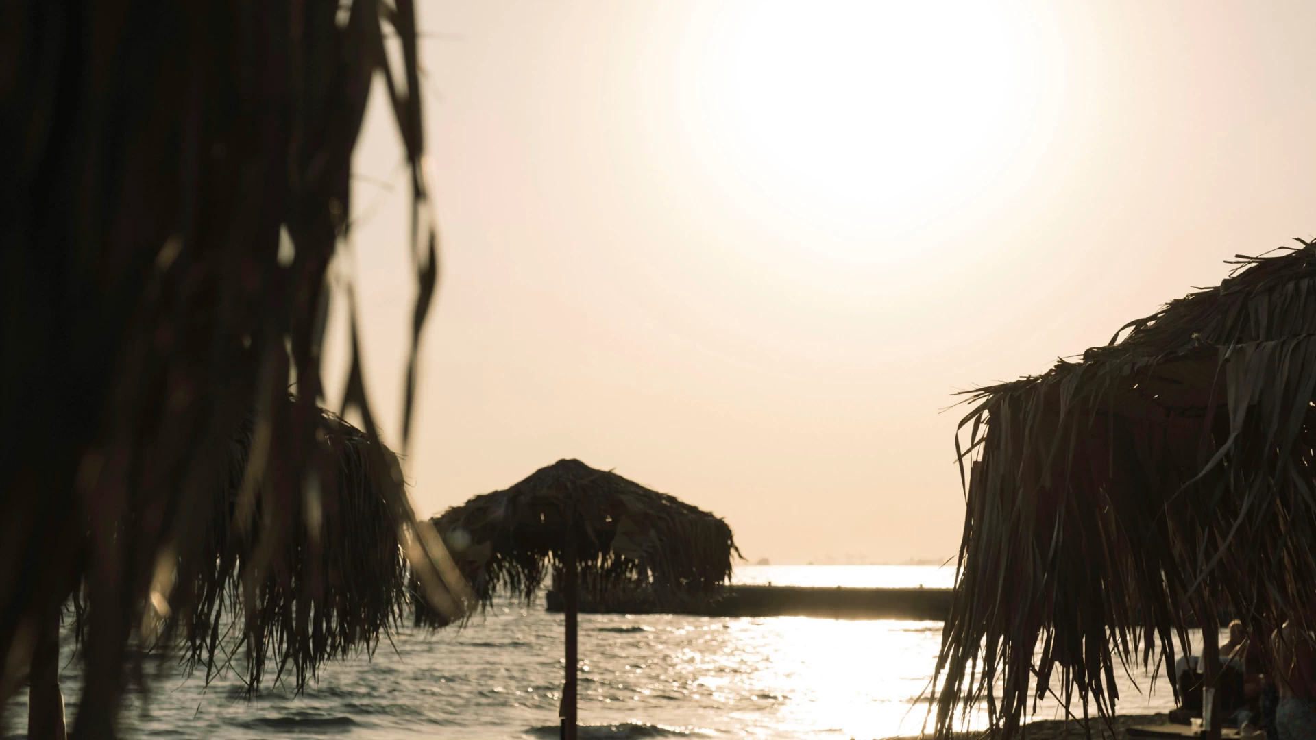 NALU latchi Leonardo Limited Edition - Designated Beach