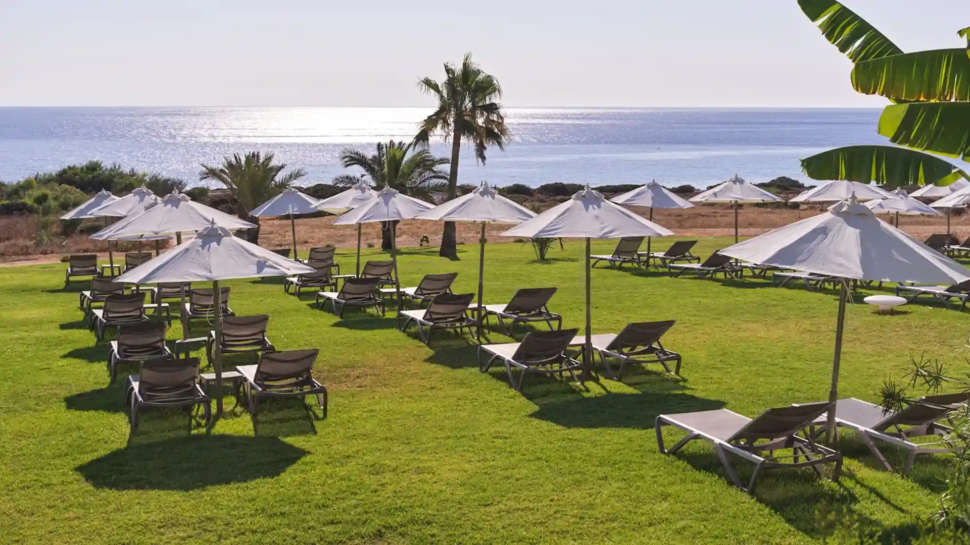 Leonardo Crystal Cove Hotel & Spa by the Sea